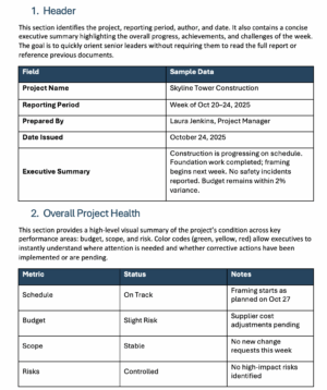 Executive Project Status Report Template for Word (Free Download)