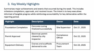 Executive Project Status Report Template for Word (Free Download)