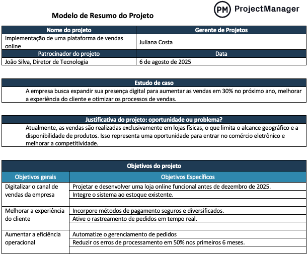 Modelo de Resumo do Projeto - ProjectManager