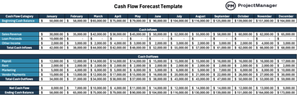 Cash flow forecast template for Excel